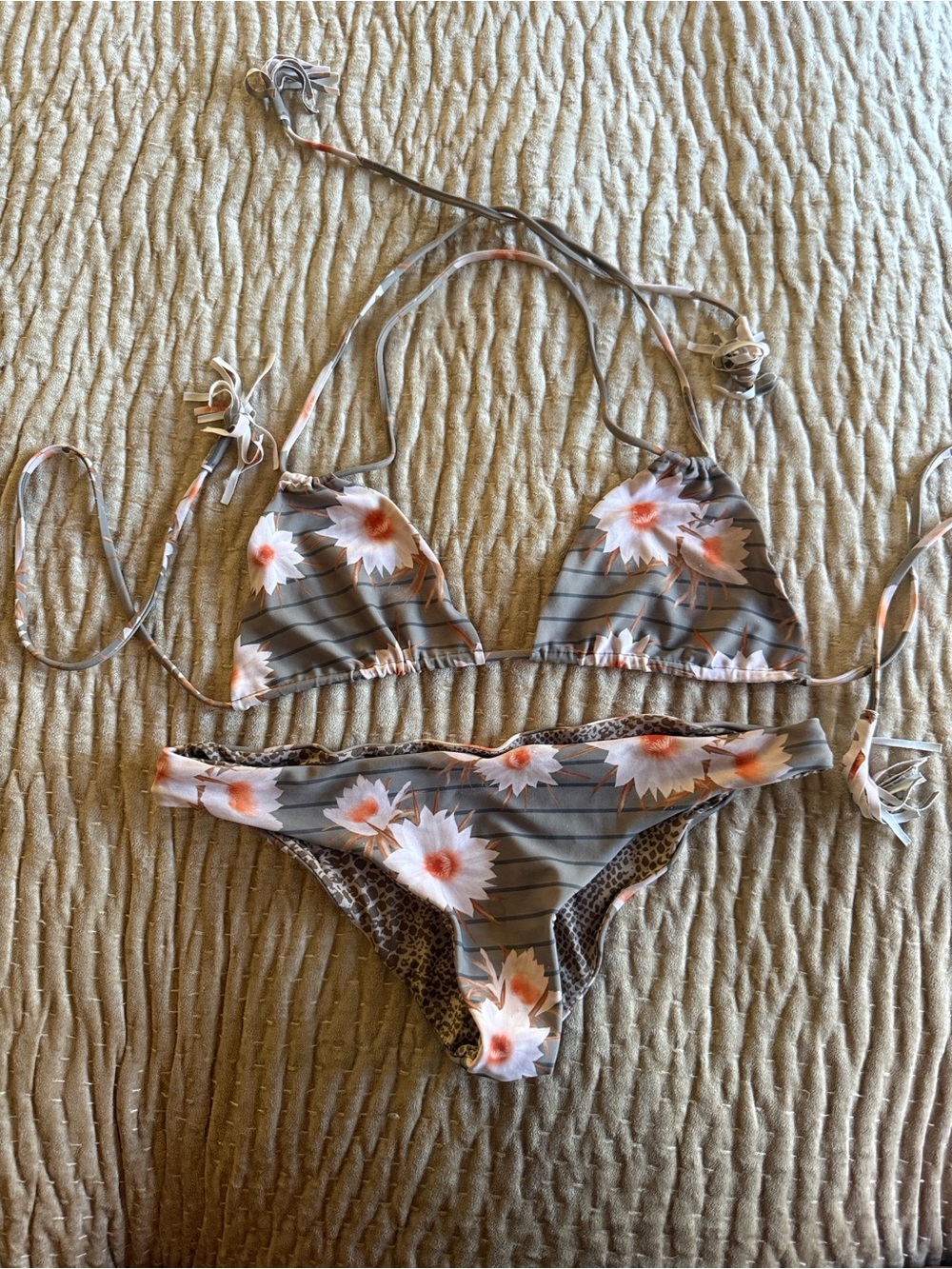 Acacia bikini